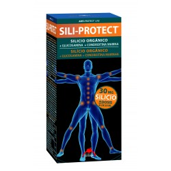 Intersa Sili-Protect 500ml
