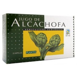 Artesania Alcachofa Eco...