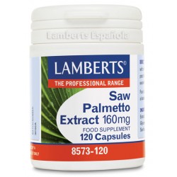 Lamberts Saw Palmetto...